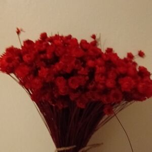 Red Floral Bouquet Home Decor